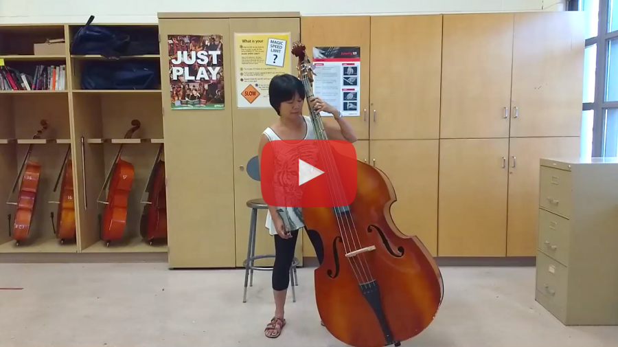Holding the Double Bass in Standing and Sitting Positions Video Smart String Teacher